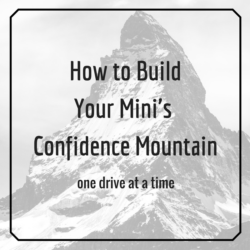 How To Build Your Mini’s Confidence Mountain: One Drive at a Time